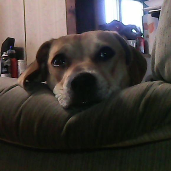 Meet your Posher, Scott - Picture 1 of 1